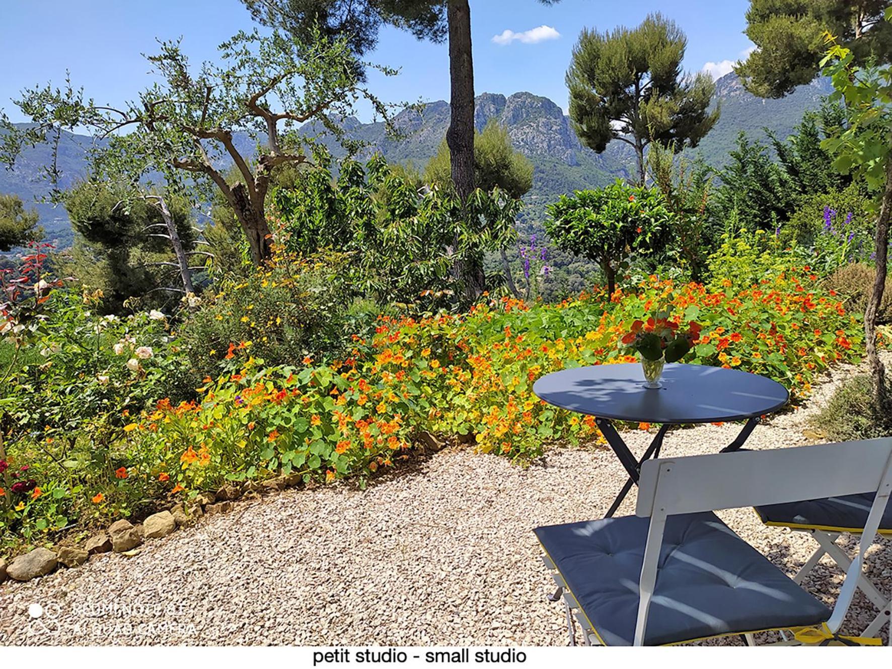 Appartamento 456 Chemin de la Pinède Mentone Esterno foto